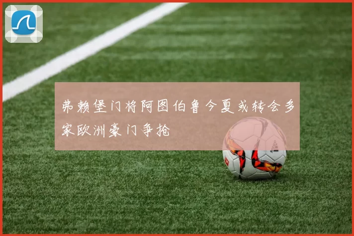 弗赖堡门将阿图伯鲁今夏或转会多家欧洲豪门争抢
